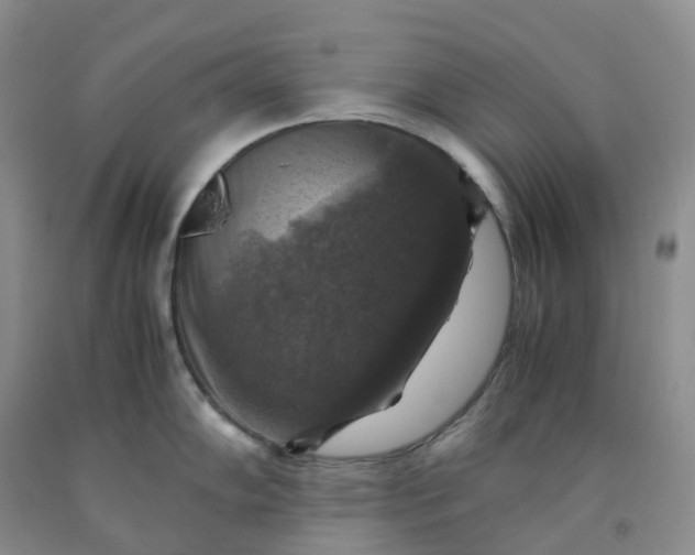 X0000092001102200709201504