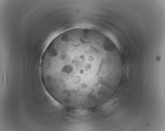 X0000092001103200709201504