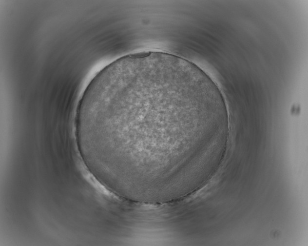 X0000092001104200709201504