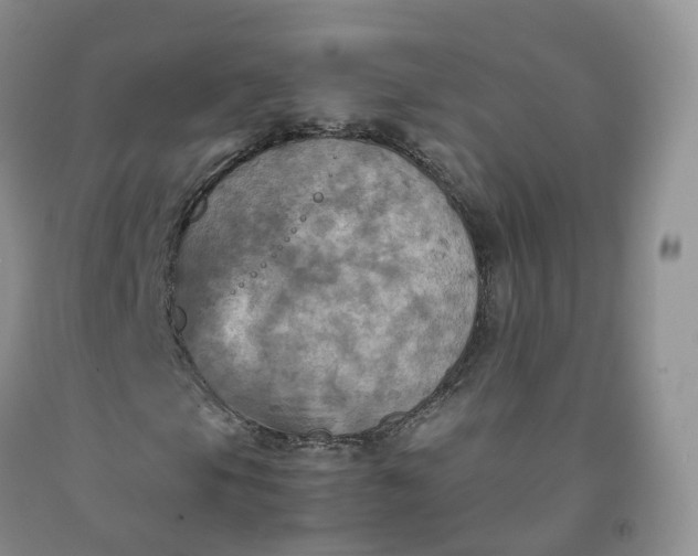 X0000092001105200709201503