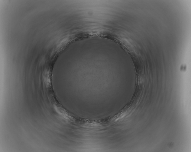 X0000092001106200709201503