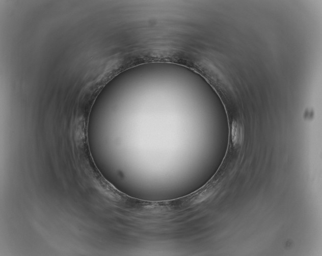 X0000092001107200709201503