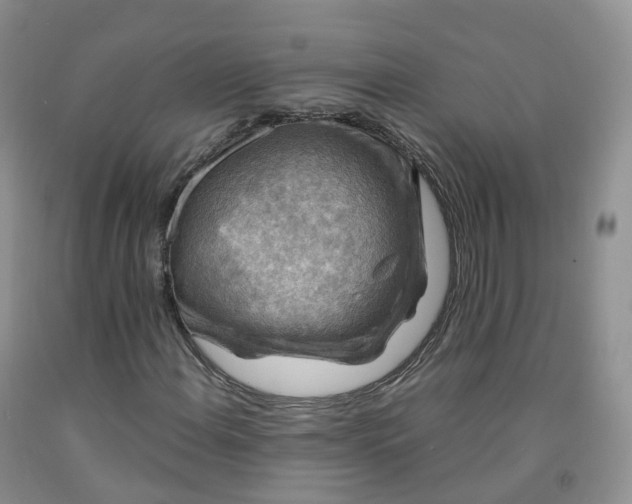 X0000092001108200709201503