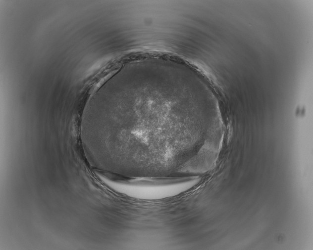 X0000092001110200709201503