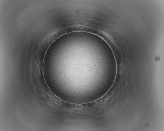 X0000092001111200709201503