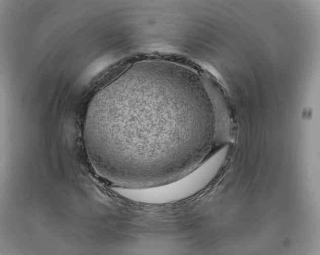 X0000092001112200709201503