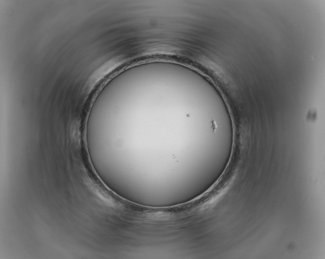 X0000092001113200709201503