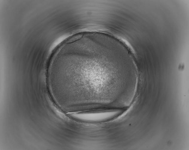 X0000092001114200709201503