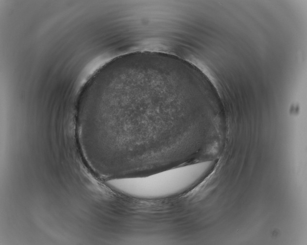 X0000092001115200709201503