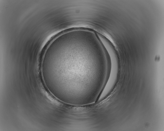 X0000092001116200709201503