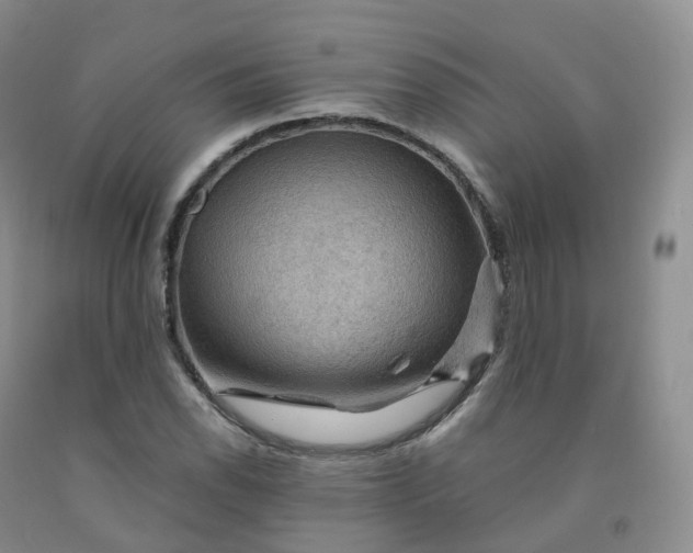 X0000092001118200709201503