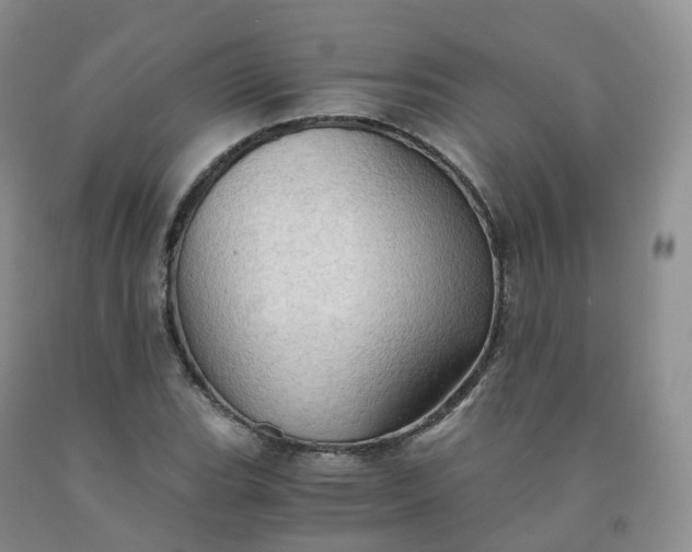 X0000092001119200709201503