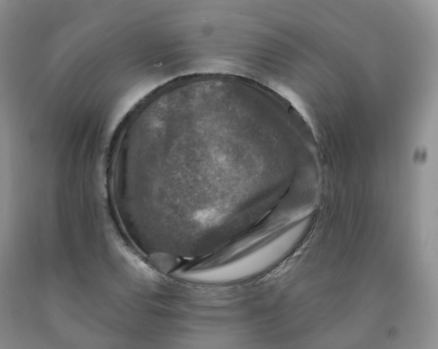 X0000092001120200709201503