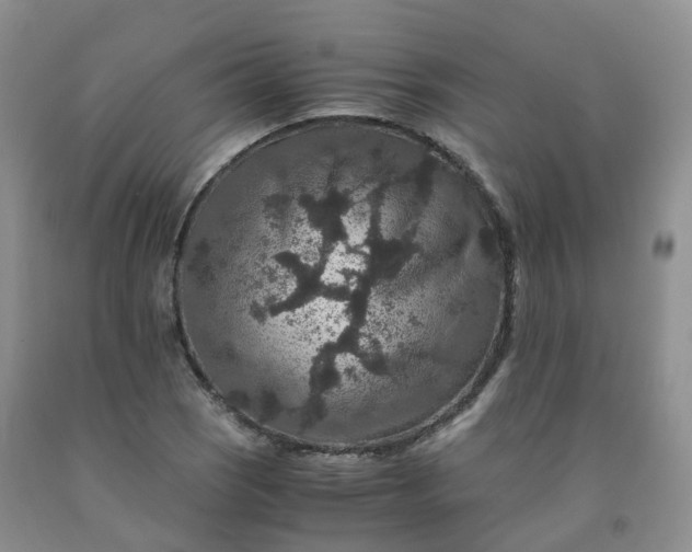 X0000092001121200709201503