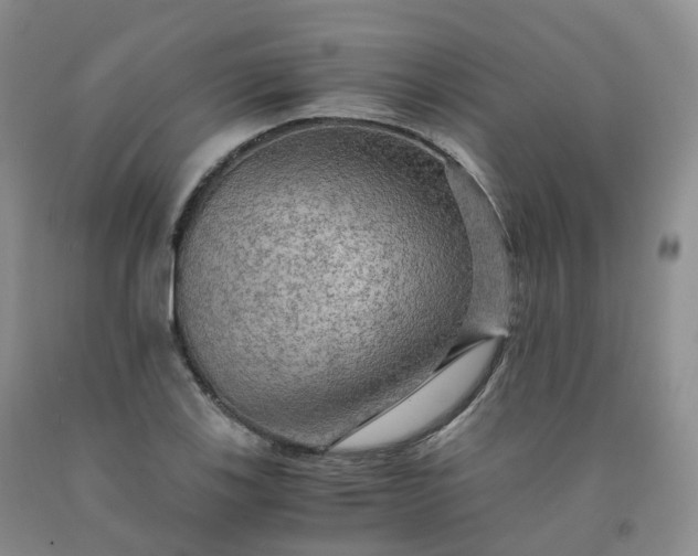 X0000092001123200709201503