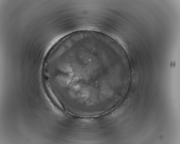 X0000092001125200709201503