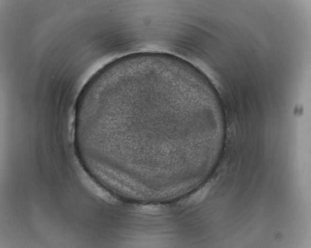 X0000092001126200709201503