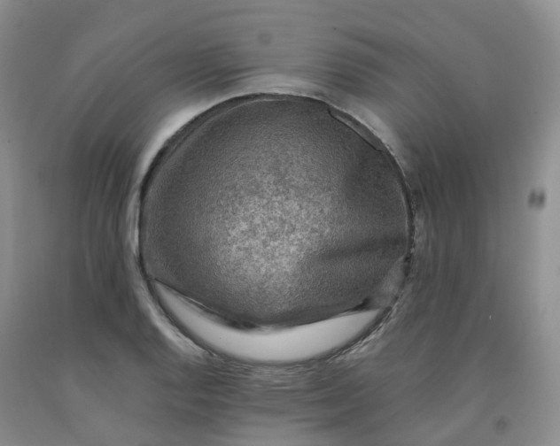 X0000092001128200709201503