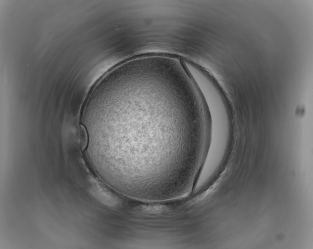 X0000092001129200709201503