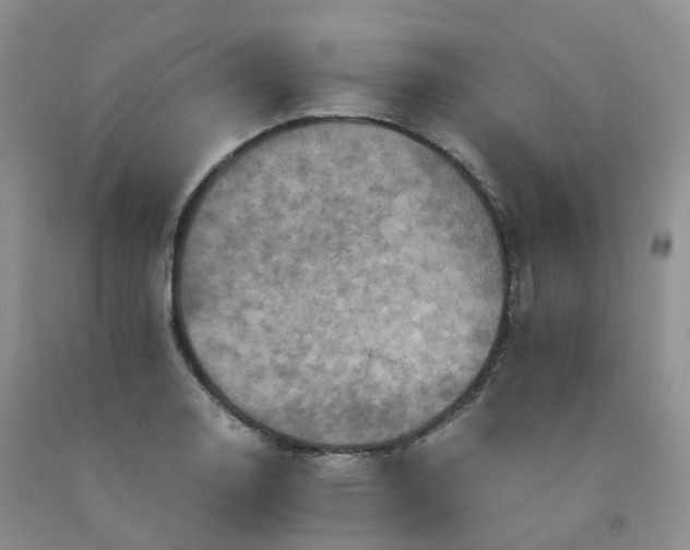 X0000092001130200709201503