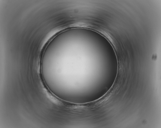 X0000092001131200709201503