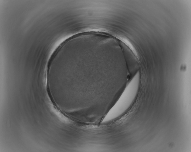 X0000092001132200709201503