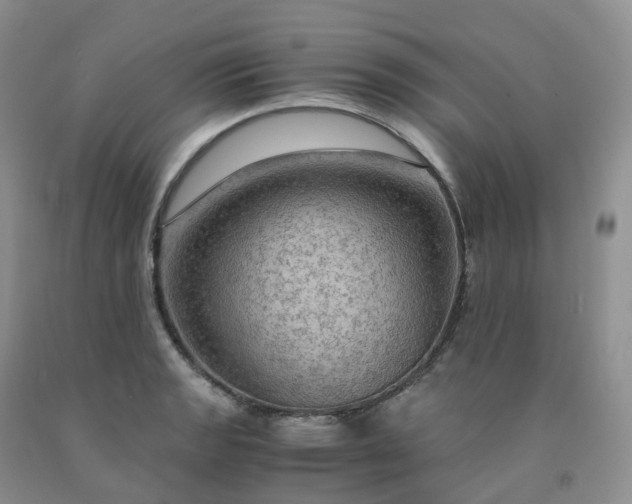 X0000092001133200709201503