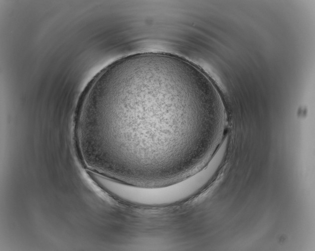 X0000092001134200709201503