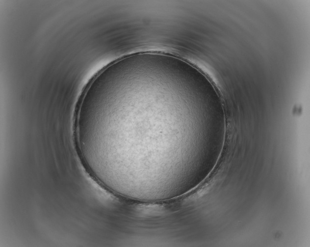 X0000092001135200709201503