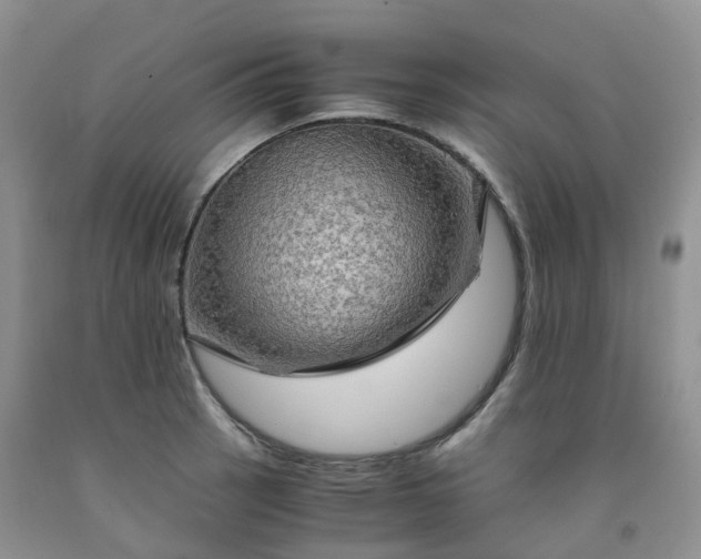 X0000092001137200709201503