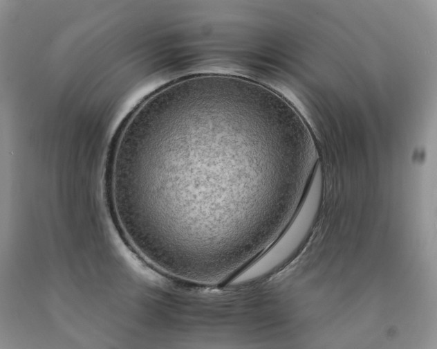 X0000092001139200709201503