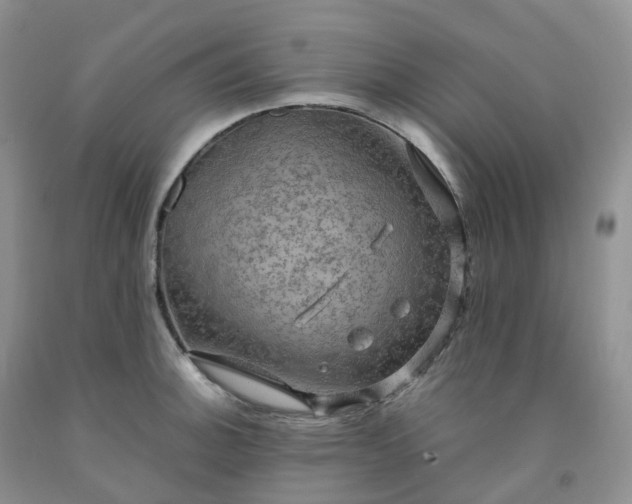 X0000092001140200709201503