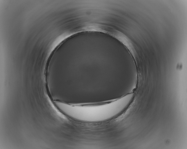 X0000092001141200709201503