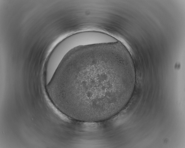 X0000092001142200709201503