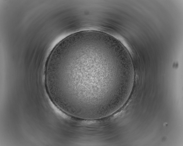 X0000092001143200709201503