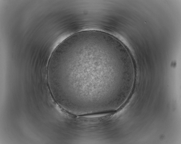 X0000092001145200709201503