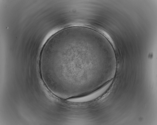 X0000092001146200709201504