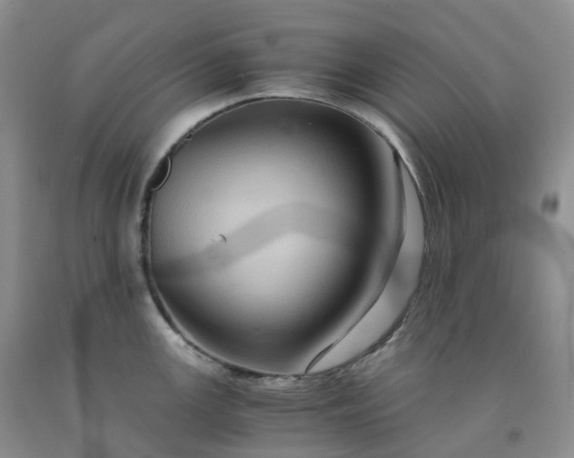 X0000092001147200709201504