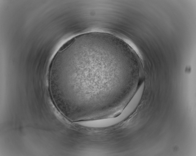 X0000092001148200709201504