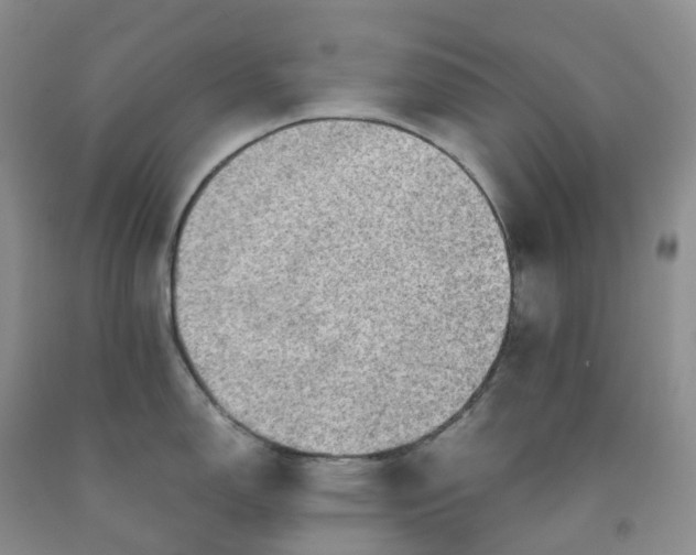 X0000092001150200709201504