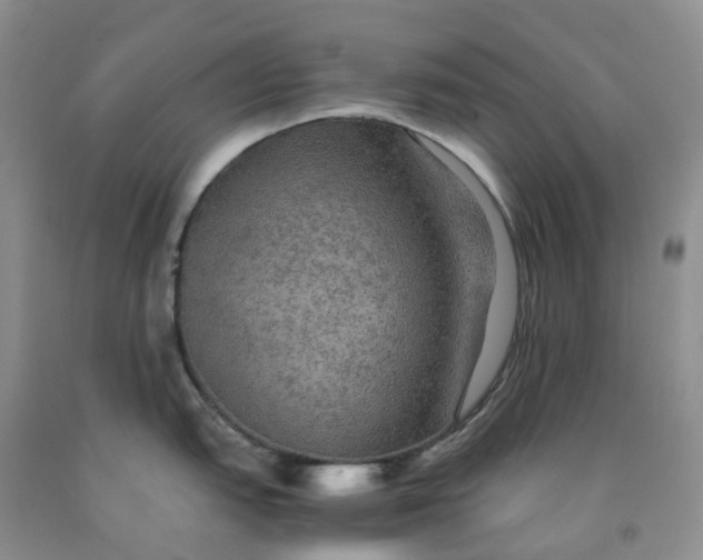 X0000092001151200709201504