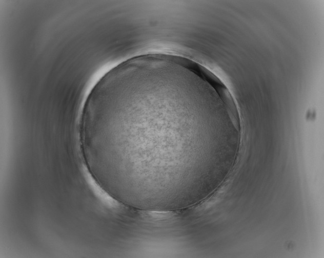 X0000092001152200709201504