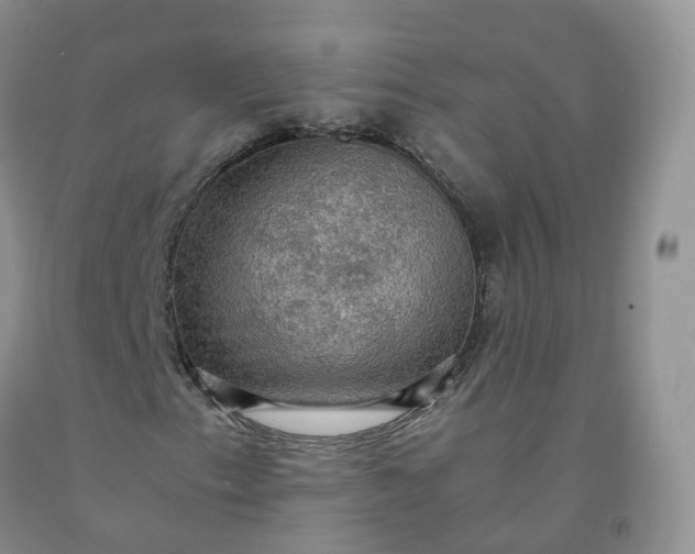 X0000092001153200709201503