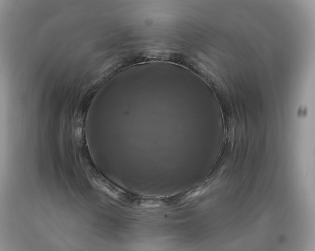 X0000092001154200709201503