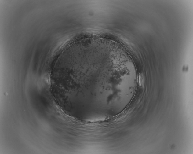 X0000092001155200709201503