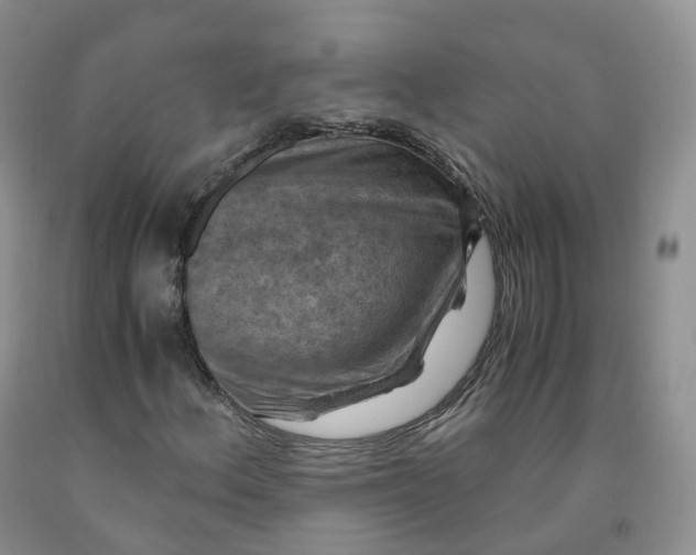 X0000092001156200709201503