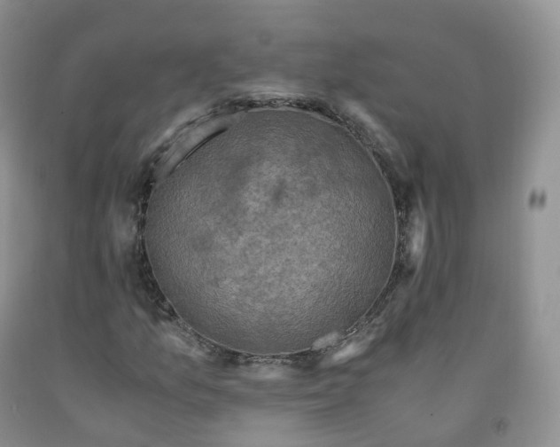 X0000092001157200709201503