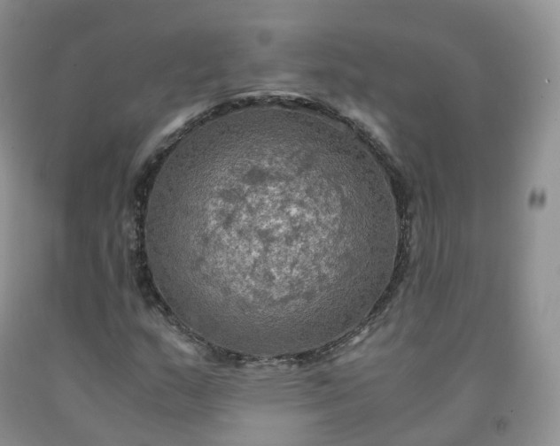 X0000092001159200709201503