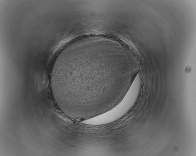 X0000092001160200709201503