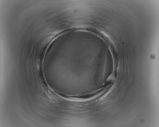 X0000092001161200709201503